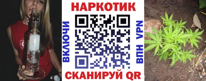 Виды наркоты Петрозаводск Марихуана  Мефедрон  Экстази  ГАШИШ 