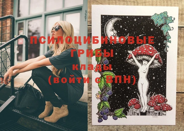 эйфоретик Новодвинск