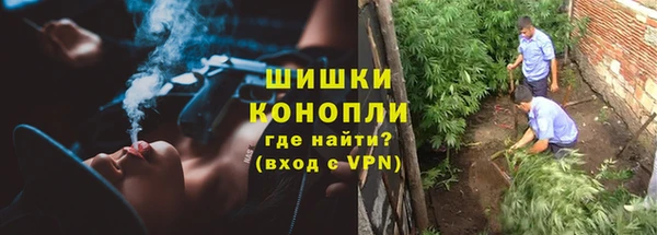 эйфоретик Новодвинск