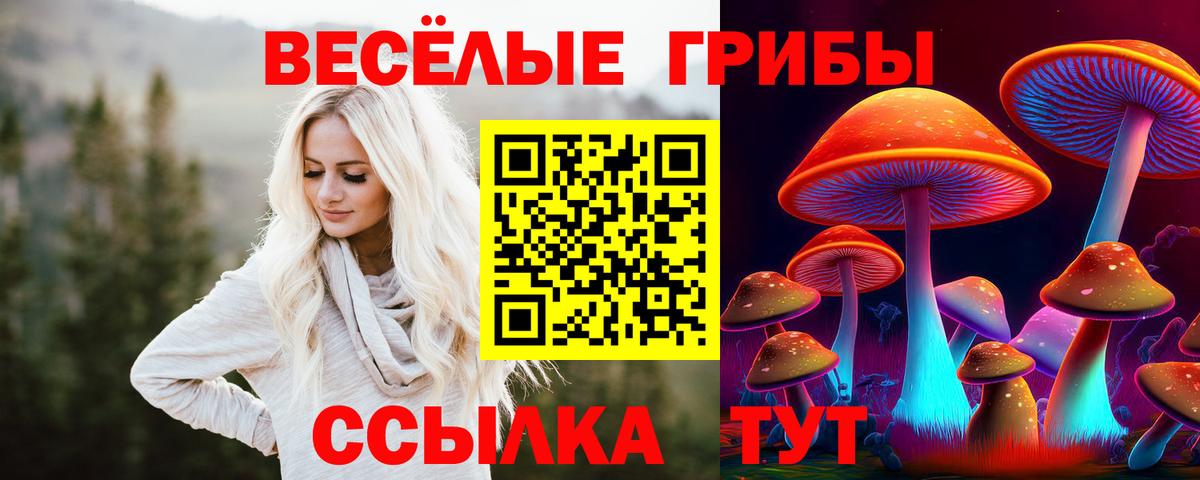 Галлюциногенные грибы Psilocybe Петрозаводск