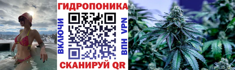 наркота  Петрозаводск  Конопля гибрид 